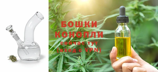 ГАЛЛЮЦИНОГЕННЫЕ ГРИБЫ Абаза